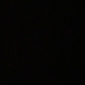 Meet your Posher, Maddison